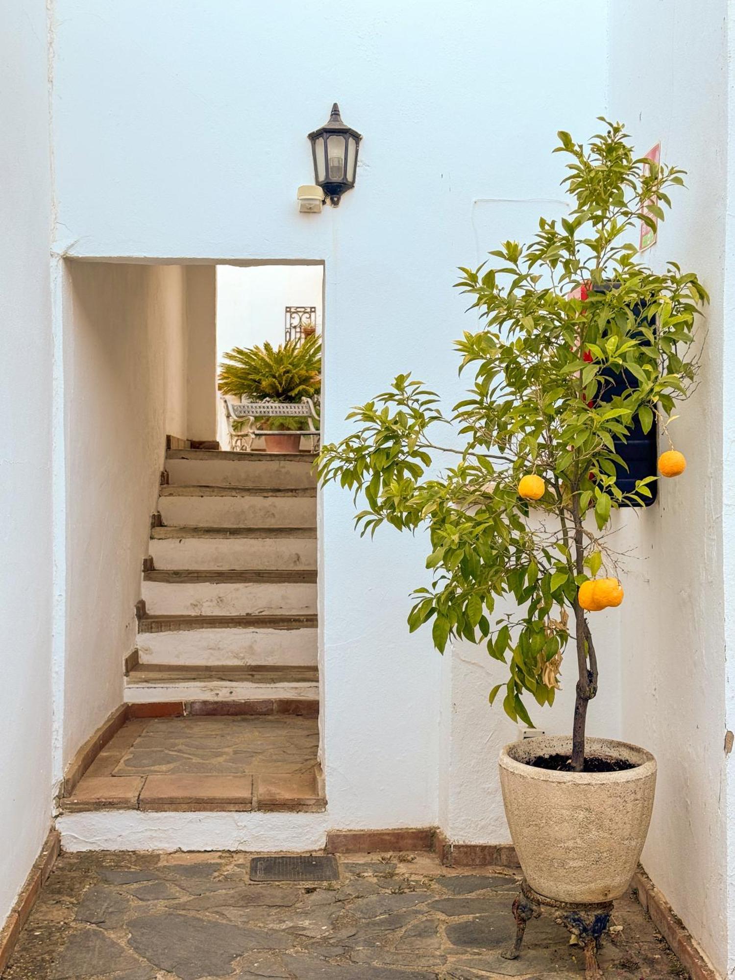 Hotel Cortijo Las Piletas روندا المظهر الخارجي الصورة